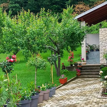 Cozy In With Wifi Apartamento *