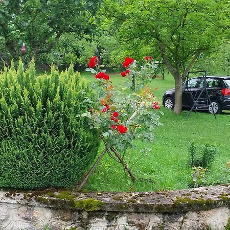 Apartamento 2 Bedroom Cozy In Srb